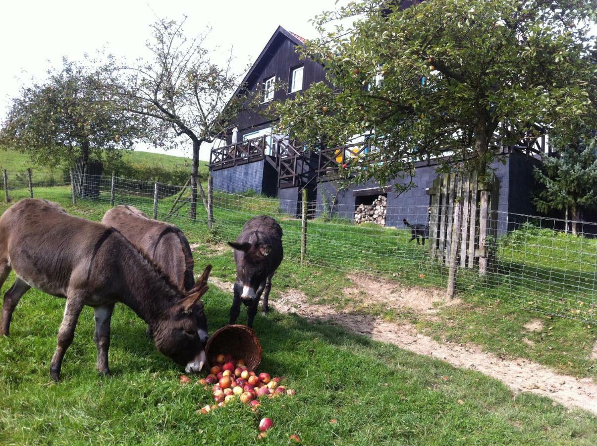 Hoeve Schoonzicht Wijlre Екстериор снимка